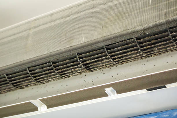 Best Ductwork Cleaning Services  in Hurstbourne, KY